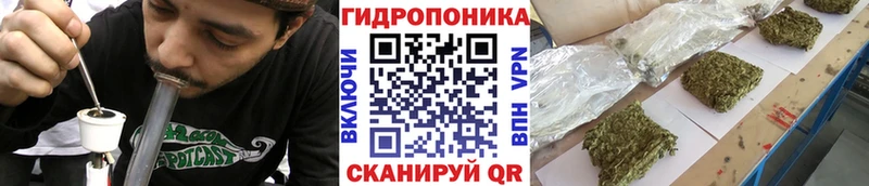 ГАШ Чистополь