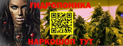 стафф Новодвинск