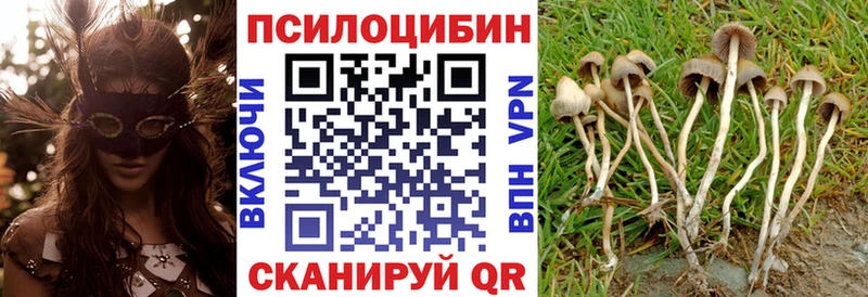 купить наркотик  Чистополь  Галлюциногенные грибы MAGIC MUSHROOMS 